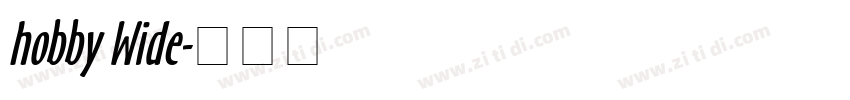 hobby Wide字体转换
